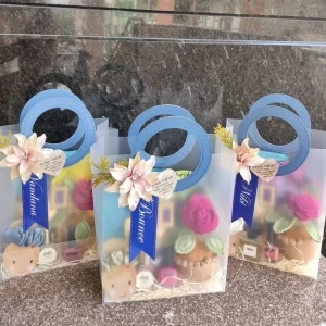 6x5 inch transparent PVC pouch bag for gift and jewelry packaging