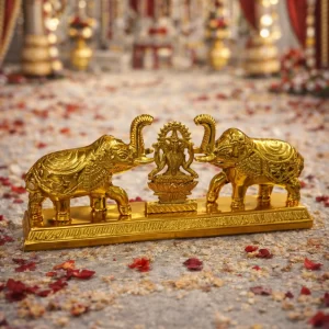 gaj roli chawal plate with elephant design for pooja